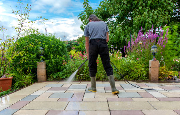 Best Animal Enclosure Cleaning  in Laureles, TX